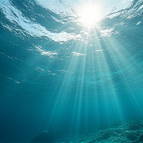 Oceano Onde Correnti Emozioni