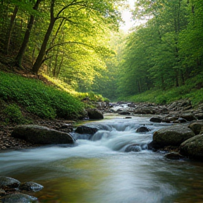 Naturbelassener Fluss