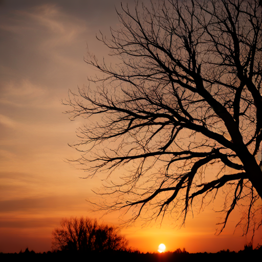 Luz en el crepúsculo