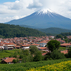 Al Norte de Mi Tolima