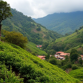 Al Norte de Tolima