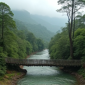 Beauty of Meghalaya 