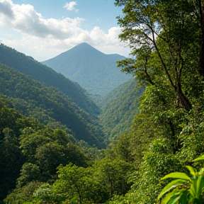 Te Llevo a Costa Rica