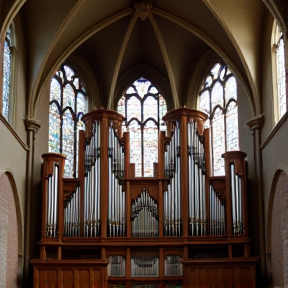 organ deria