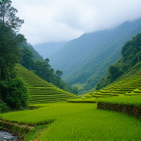 Một thoáng Sa Pa 