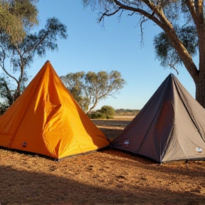 Dwellingup Adventures