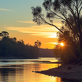 Dwellingup Adventures