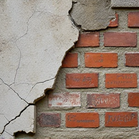 Des rêves sur les murs