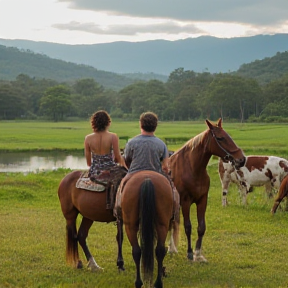 Corações na Estrada