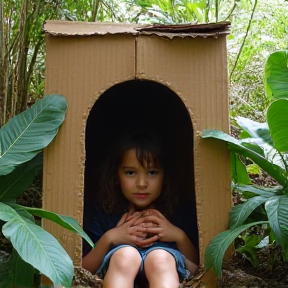 Living in a cardboard house 