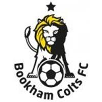 Jaguar Bookham Colts