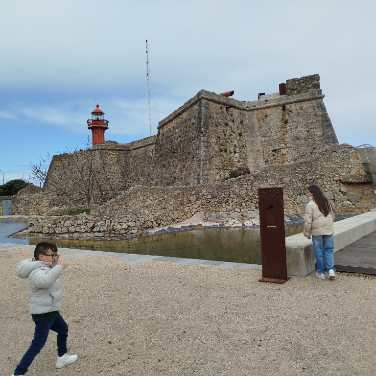 Irmãos na Figueira