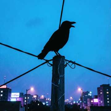 Default Logo