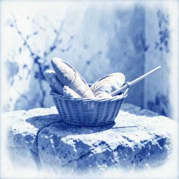 Default Logo