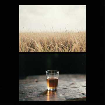 Default Logo