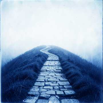 Default Logo