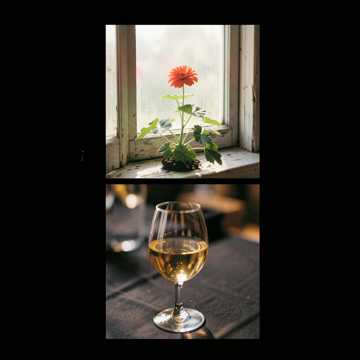 Default Logo