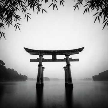 Default Logo