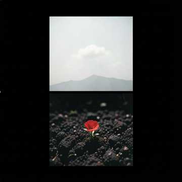 Default Logo