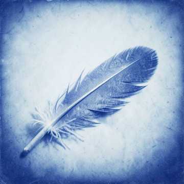 Default Logo
