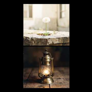 Default Logo