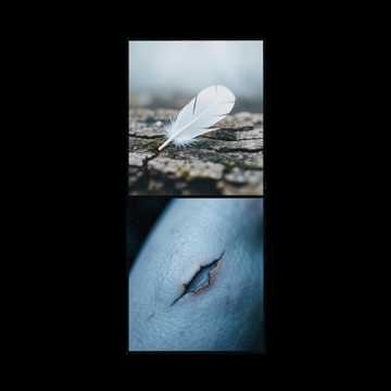 Default Logo