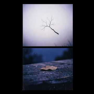 Default Logo