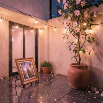 شبِ حیاط