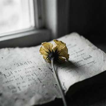 Default Logo