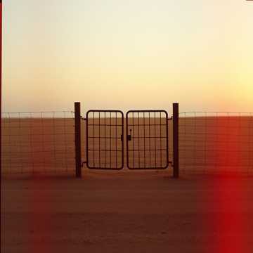 Dust On The Fence