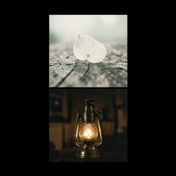 Default Logo