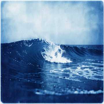 Default Logo