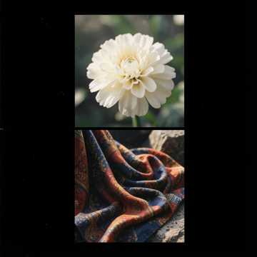Default Logo