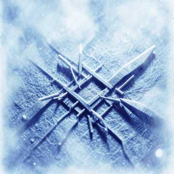 Default Logo