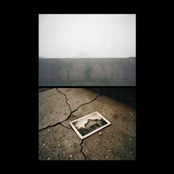 Default Logo