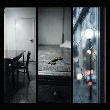 Default Logo