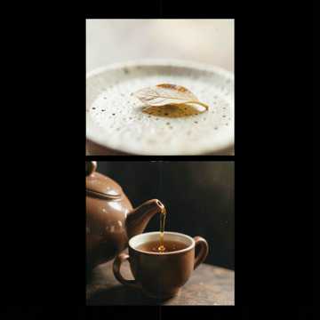 Default Logo