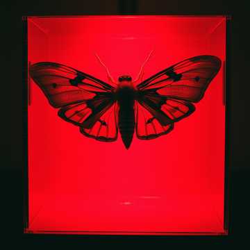 songgenerator.io