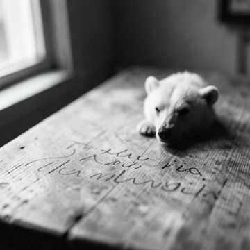 Default Logo