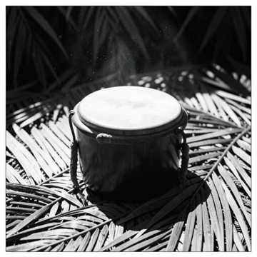 Default Logo