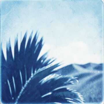 Default Logo