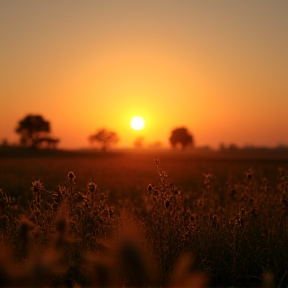 Quanno ’o sole turnarrà