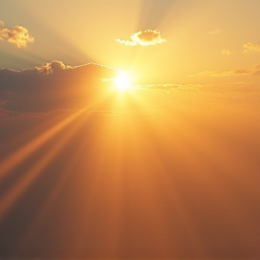 햇살에 물든 너