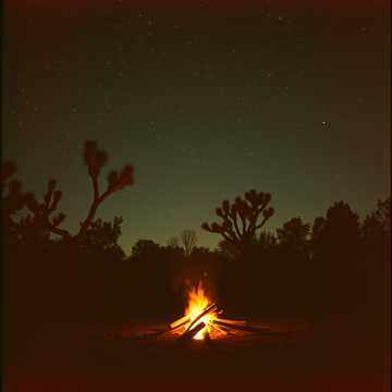 Western Australia Nights