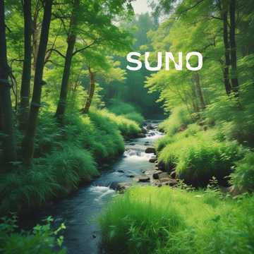 aimusic.so