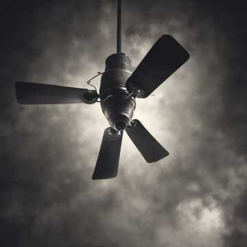 Ceiling Fan Fury