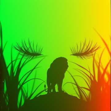 Qaza-yeah Lion