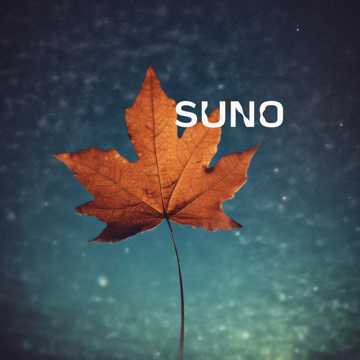 Default Logo