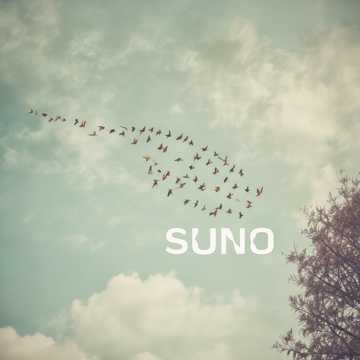 aimusic.so