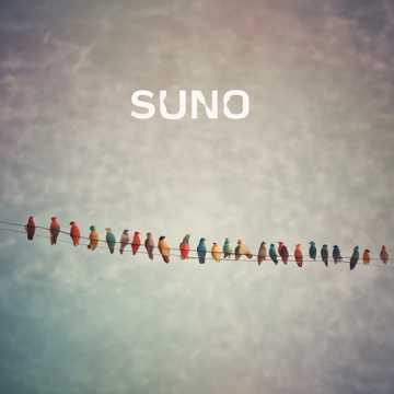 aimusic.so
